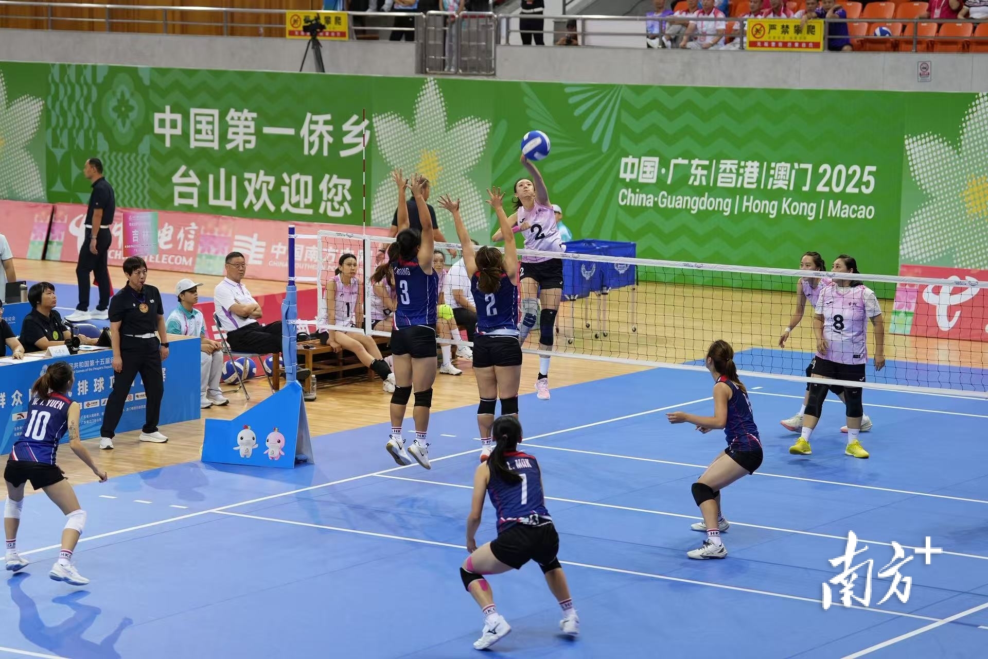 训练一次, 广电旅游体, msn 训练一次, 广电旅游体, msn