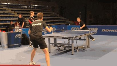 BWVVs, duhGP, 生理结构影